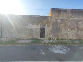 Kitinet