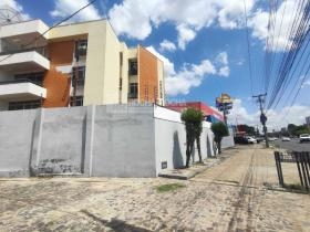 ED. PALOMO