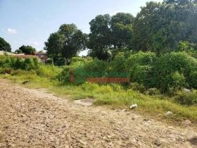 Rua Simplício Mendes (Zona Sul)