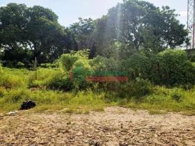 Rua Simplício Mendes (Zona Sul)