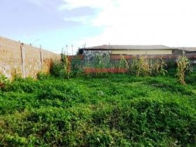 Rua Professor José Amável