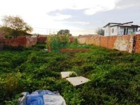 Rua Professor José Amável