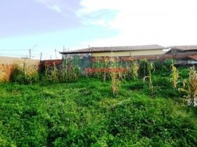 Rua Professor José Amável