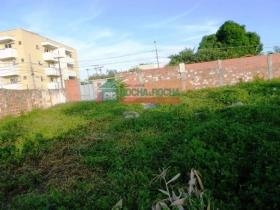 Rua Professor José Amável