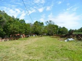 Avenida Mirtes Melão