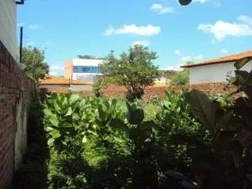 Rua Honório Parente