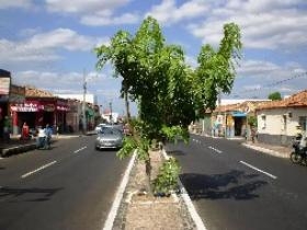 Avenida Joaquim Ribeiro