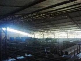 AV DOS EXPEDICIONARIOS