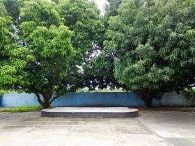 RUA MOYSES C BRANCO FILHO