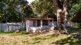 AVENIDA PROFESSOR CAMILO FILHO