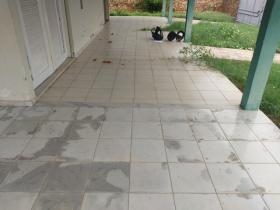 Rua Motorista Gregório