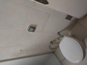 Rua Motorista Gregório