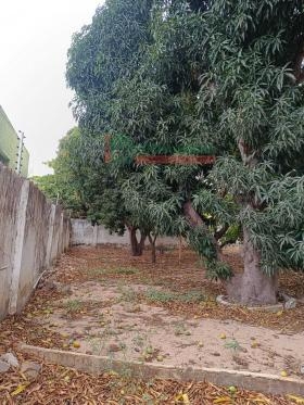 CASA EM PARNAÍBA - NOSSA SENHORA DE FÁTIMA