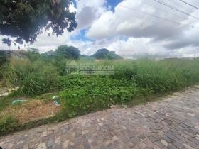 Loteamento Jardim do Vale