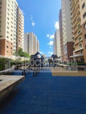 Cond. Like Teresina