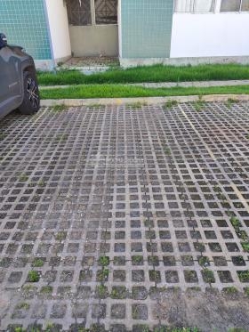 Cond. Solaris Residence City