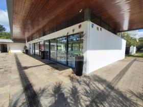 Terras Alphaville