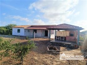 CASA EM LUIS CORREIA - PRAIA DO COQUEIRO