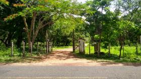 SITIO RODOVIA 335