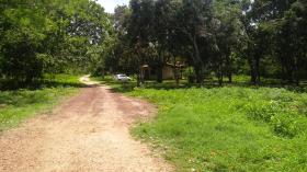 SITIO RODOVIA 335