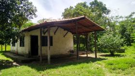 SITIO RODOVIA 335