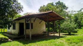 SITIO RODOVIA 335