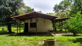SITIO RODOVIA 335