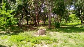 SITIO RODOVIA 335