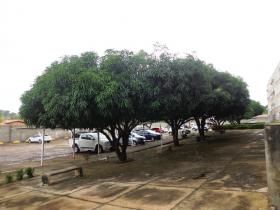 COND. ALÔ TERESINA
