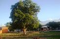 BR 316, KM 23 CHAPADINHA SUL