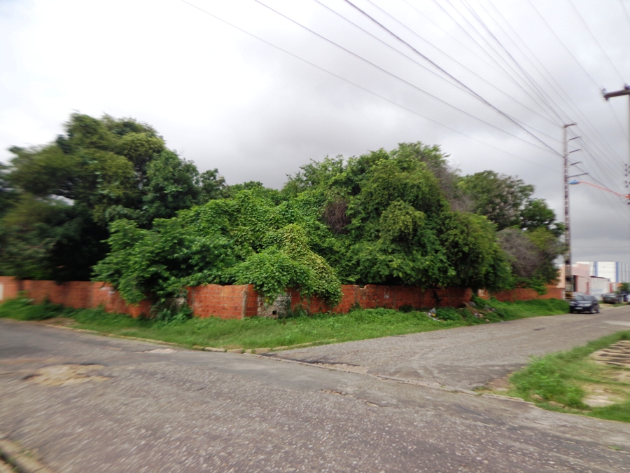 R MURILO BRAGA