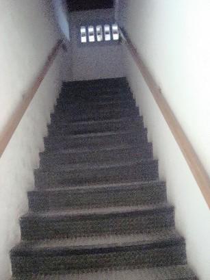 AV DOS EXPEDICIONARIOS