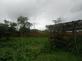 RUA 09