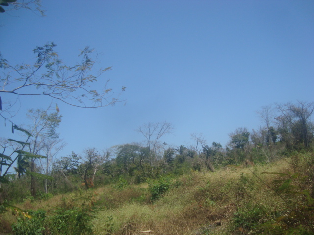QD J, Nº 76 E 77 LOTE PARQUE PINDORAMA