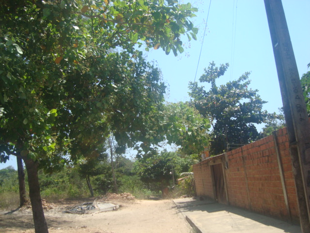 QD J, Nº 76 E 77 LOTE PARQUE PINDORAMA