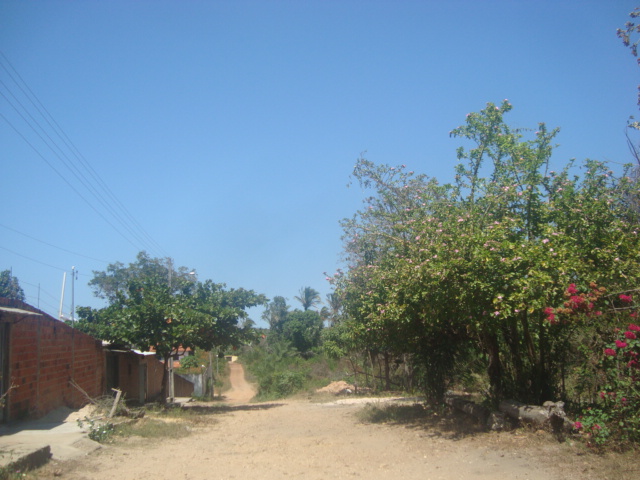 QD J, Nº 76 E 77 LOTE PARQUE PINDORAMA