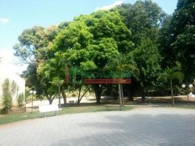 Rua Projetada 