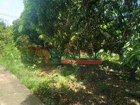 Casa Residencial