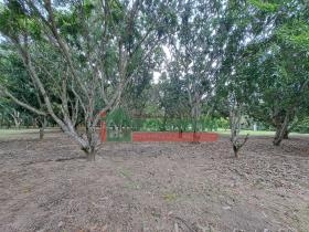 Sitio Caneleiro 