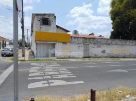 Rua das Orquídeas