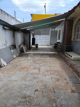 Rua das Orquídeas