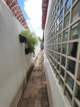 Rua Veterinário Bujyja Britto