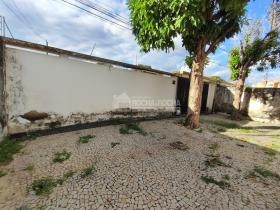 Rua Senador Luís Mendes Ribeiro Gonçalves