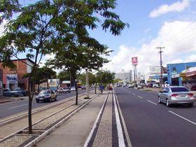AVENIDA MIGUEL ROSA