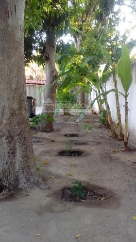 Sitio Cacimba Velha